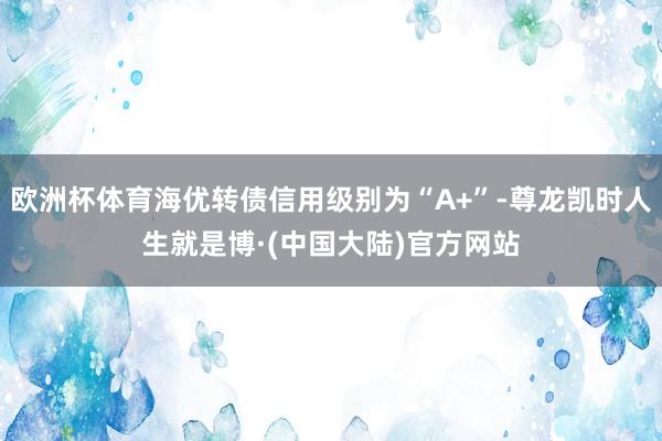 欧洲杯体育海优转债信用级别为“A+”-尊龙凯时人生就是博·(中国大陆)官方网站